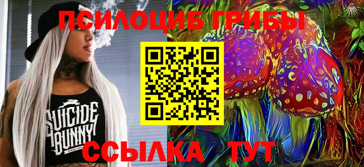 Нижний Новгород  Галлюциногенные грибы Cubensis  купить наркоту  Вход с VPN 